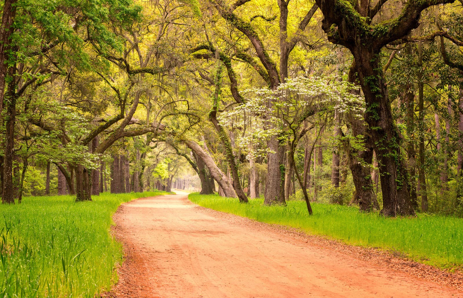 Welcome to Edisto Island, South Carolina! - Edisto Island