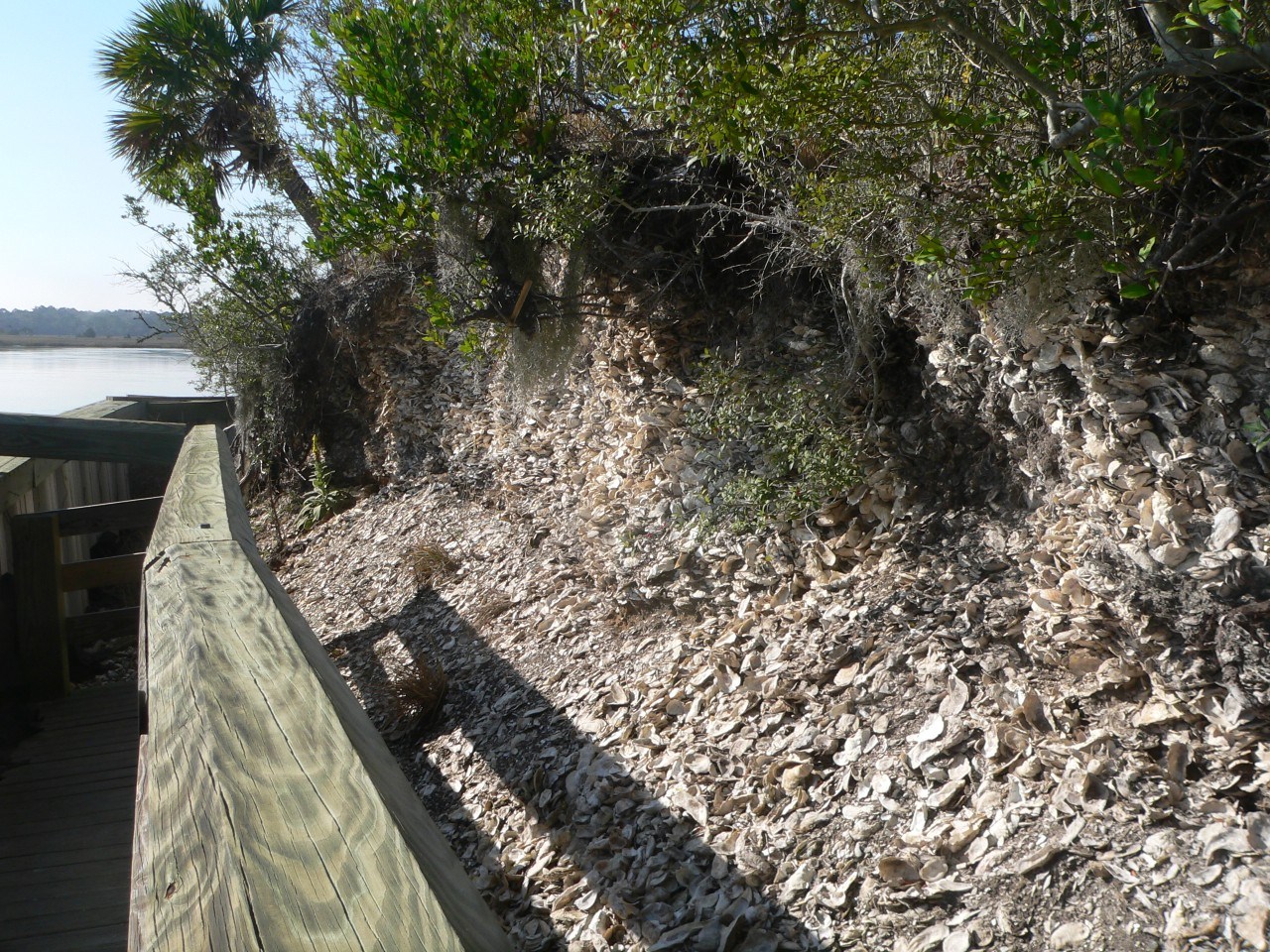 Indian Mound Trail Edisto Island